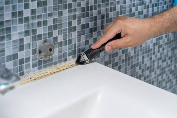 Best Local Mold Removal Service  in Chino, CA